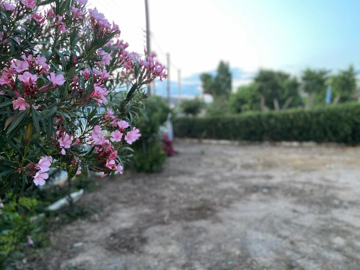 Athens Riviera: 2 Bed / 3' Walk From The Beach Agia Marina  Dış mekan fotoğraf